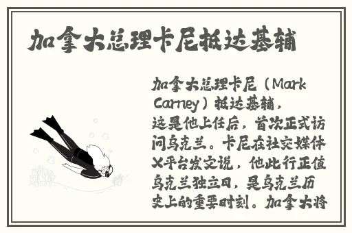 久久久久成人亚洲**综合精品